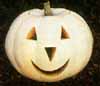 v_pumpkinlumina.jpg